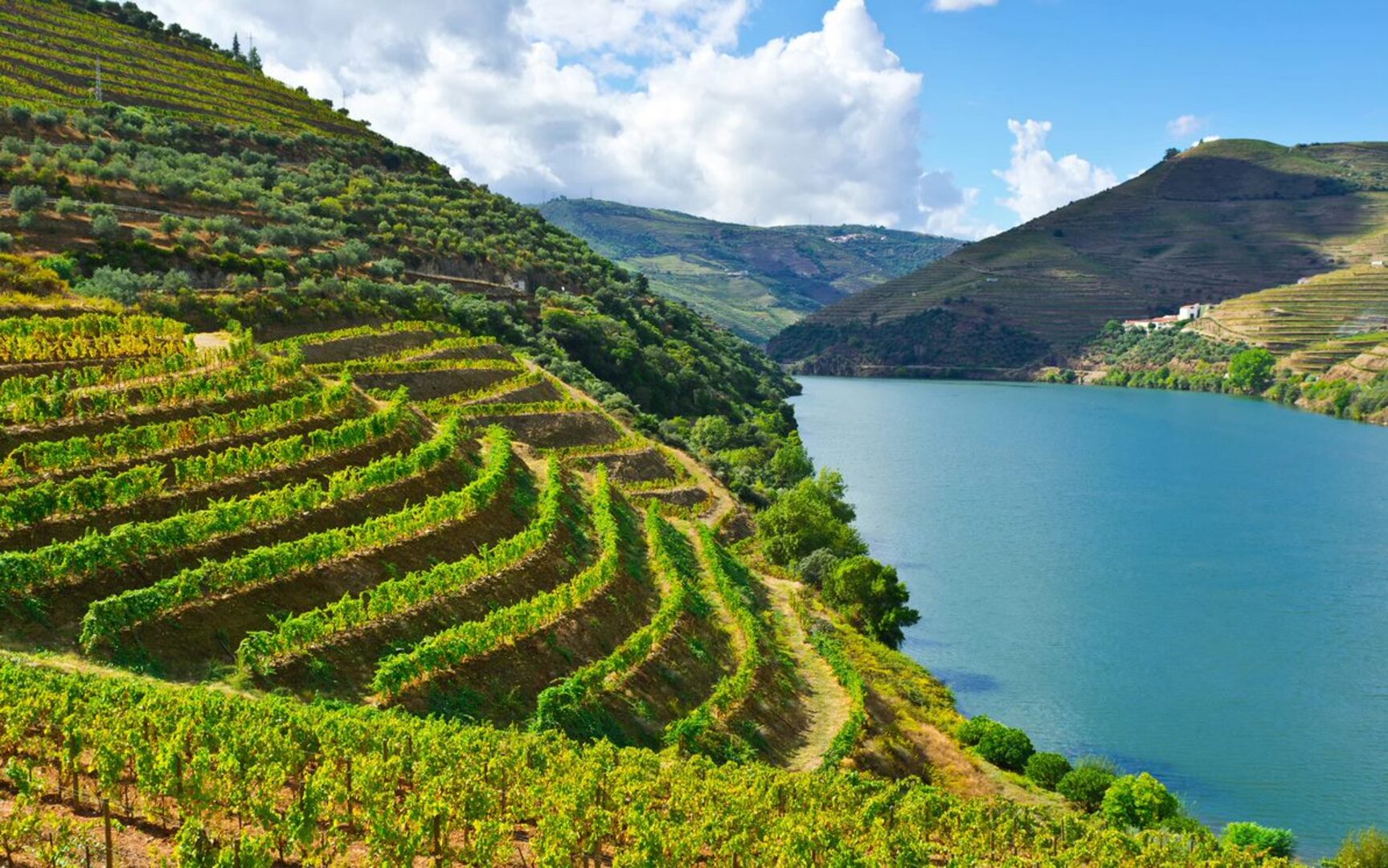 Douro views