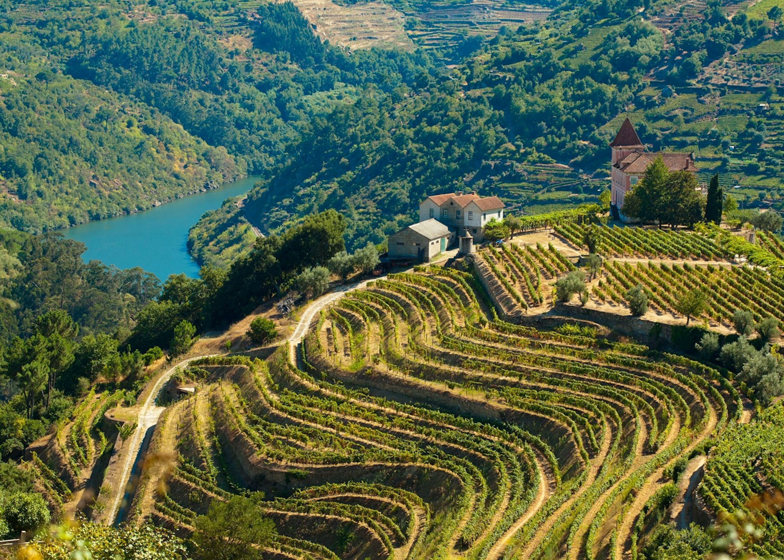 Douro Valley