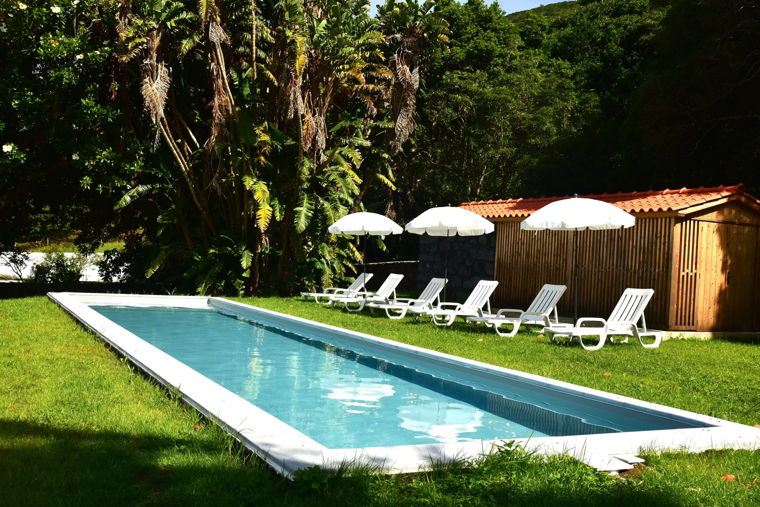 Pool view