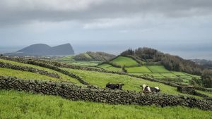 Terceira views