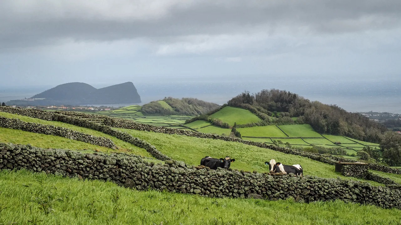 Terceira views